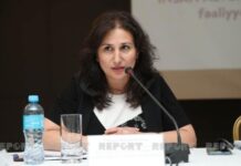 Azərbaycanda hazırda dövlət vəzifəsində işləyən qadınların sayı açıqlanıb Ailə, Qadın və Uşaq Problemləri üzrə Dövlət Komitəsinin Hüquqi-təminat şöbəsinin müdiri Taliyə İbrahimova