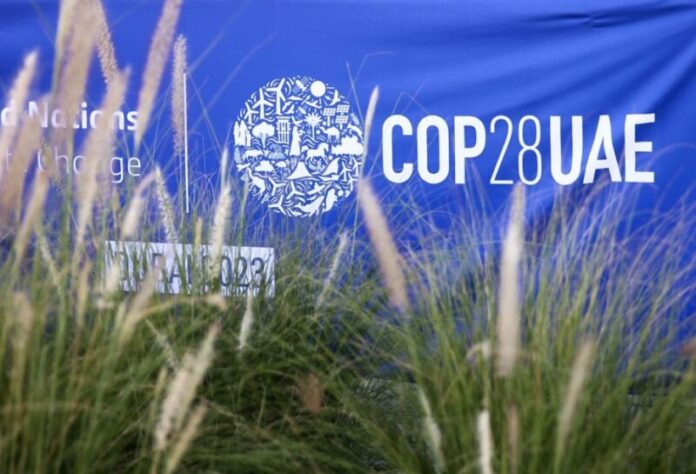 COP28