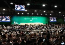 COP29 2024-cü ildə Azərbaycanda keçiriləcək BMT-nin İqlim Dəyişikliyi üzrə Çərçivə Konvensiyasının Tərəflər Konfransının 29-cu sessiyası - COP29 gələn il Azərbaycanda keçiriləcək