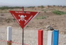 Azad edilən rayonlarda ötən il minalardan təmizlənən ərazilərin həcmi açıqlanıb Azərbaycan Respublikası Minatəmizləmə Agentliyi (ANAMA)