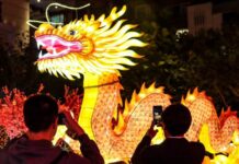 Çində Yaşıl Əjdaha ili başlayıb Çin