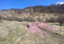 DİN: Kəlbəcərdə artilleriya qurğuları və sursat aşkar edilib artilleriya