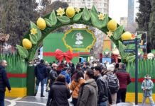 “Torpaq əlimdə, bahar ürəyimdə” xeyriyyə yarmarkası davam edir “Torpaq əlimdə, bahar ürəyimdə” xeyriyyə yarmarkası