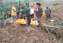 İndoneziyada torpaq sürüşmələri nəticəsində 19 nəfər ölüb İndoneziya