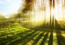 Bazar günü Bakıda 21 dərəcə isti olacaq hava şəraiti