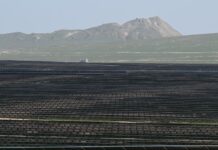 İctimai şura üzvləri “Qaradağ” Günəş Elektrik Stansiyasında olublar “Qaradağ” Günəş Elektrik Stansiyası