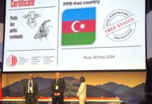 Azərbaycan Parisdə keçirilən beynəlxalq tədbirdə xüsusi sertifikata layiq görülüb Azərbaycan Parisdə keçirilən beynəlxalq tədbirdə xüsusi sertifikata layiq görülüb