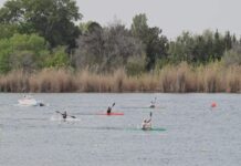 Azərbaycanlı cütlük “Prezident Kuboku 2024” beynəlxalq reqatasında üçüncü olub Azərbaycan komandası Ulu Öndər Heydər Əliyevin 101-ci ildönümünə həsr edilən akademik avarçəkmə, kayak və kanoe üzrə “Prezident Kuboku 2024” beynəlxalq reqatası