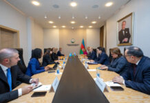 UNEP ilə Azərbaycan arasında COP29 çərçivəsində əməkdaşlıq məsələləri müzakirə edilib Energetika naziri Pərviz Şahbazov ilə BMT Baş katibinin müavini və Ətraf Mühit Proqramının (UNEP) icraçı direktoru İnger Andersen arasında görüş