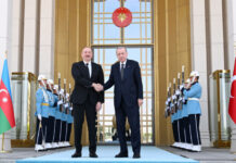 İlham Əliyev Ərdoğana Azərbaycanın D8-ə üzv seçilməsində dəstəyinə görə təşəkkür edib Ankarada Azərbaycan Respublikasının Prezidenti İlham Əliyevin Türkiyə Respublikasının Prezidenti Rəcəb Tayyib Ərdoğan ilə təkbətək görüşü olub