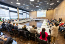 Azərbaycanın COP29-da “Sülh və iqlim qovşağı” mövzusuna diqqəti BMT-nin İqlim Konfransında təqdirlə qarşılanıb BMT-nin İqlim Konfransı