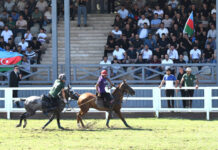 Azərbaycan millisi ardıcıl ikinci dəfə çövkən üzrə dünya çempionatının qalibi olub çövkən üzrə dünya çempionatı