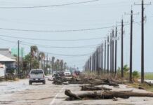 “Beril” qasırğası ABŞ-də 8 nəfərin həyatına son qoyub qasırğa