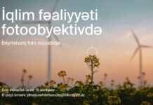 COP29 Azərbaycan Əməliyyat Şirkəti “İqlim fəaliyyəti fotoobyektivdə” adlı beynəlxalq fotomüsabiqə elan edir “İqlim fəaliyyəti fotoobyektivdə” adlı beynəlxalq fotomüsabiqə