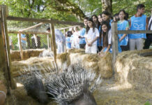 Şahdağ Milli Parkının İsmayıllı bölməsində nadir heyvanlar vəhşi təbiətə buraxılıb nadir heyvanlar vəhşi təbiətə buraxılıb