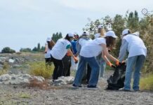 COP29 könüllüləri Xəzər dənizinin Lənkəran sahilində təmizlik aksiyasında iştirak ediblər Xəzər dənizinin Lənkəran sahilində təmizlik aksiyası