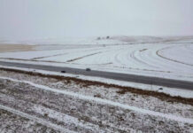 Cənubi Afrika Respublikasında qar hərəkəti iflic edib qar