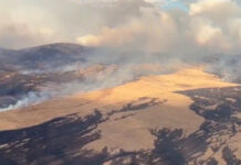 Qazaxıstanda irimiqyaslı çöl yanğını ilə mübarizə: yanğınsöndürən həlak olub Karaqanda