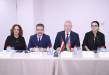 “Meşənin pıçıltısı” həm sərgi kimi, həm də COP29 ilə əlaqədə daha geniş rezonans doğuracaq rəssam Elnarə Nəsirlinin “Meşənin pıçıltısı — səsin sehri” adlı incəsənət sərgisi