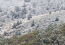 Bəzi rayonlarda növbəti iki gündə yağış və qar yağacaq, güclü külək əsəcək qar