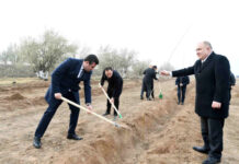 Naxçıvanda Ümummilli Liderin xatirəsinə ağacəkmə aksiyası keçirilib Naxçıvanda Ümummilli Liderin xatirəsinə ağacəkmə aksiyası keçirilib