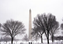 Vaşinqton ətrafında güclü qar yüzlərlə qəzaya və uçuşların ləğvinə səbəb olub Vaşinqton