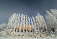 Dağlıq ərazilərdə 13 dərəcəyədək şaxta qeydə alınıb şaxta