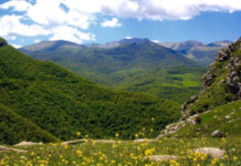 Şuşa-Ağdərə-Kəlbəcər rayonlarının ərazisini əhatə edən yeni milli park yaradılacaq milli park