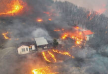 Cənubi Koreya meşə yanğınları ilə mübarizə aparır Cənubi Koreyada meşə yanğınları