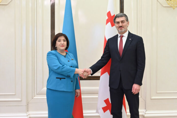 Parlamentin sədri Sahibə Qafarova və Gürcüstan Prezidenti Mixeil Kavelaşvili