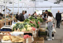 Paytaxtda “Kənddən Şəhərə” həftəsonu yarmarkası açılıb “Kənddən Şəhərə” həftəsonu yarmarkası