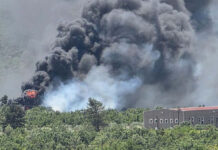 Fransada son 76 ilin ən böyük yanğınları qeydə alınıb meşə yanğını