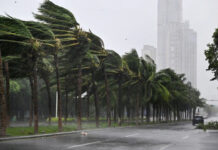 “Vifa” qasırğasına görə Honkonqda 500 uçuş təxirə salınıb “Vifa” qasırğası