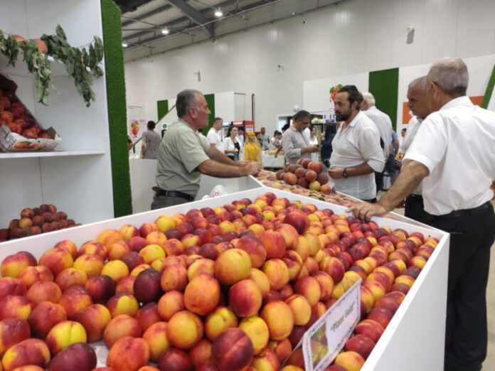 Xaçmazda Aqrar Biznes və Şaftalı Festivalı