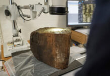 Danimarkada 8500 il əvvəl dəniz sularının altında qalmış yaşayış məskəni aşkar edilib Danimarkada 8500 il əvvəl dəniz sularının altında qalmış yaşayış məskəni aşkar edilib