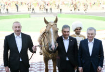 Azərbaycan Prezidenti İlham Əliyevə “Axaltəkə” atı hədiyyə edilib “Taus” ləqəbli “Axaltəkə” atı