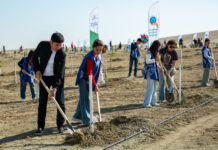 Anım Günü ilə əlaqədar ağacəkmə aksiyası təşkil edilib 27 Sentyabr - Anım Günü ilə əlaqədar Ekologiya və Təbii Sərvətlər Nazirliyi və Mənzil İnşaatı Dövlət Agentliyinin birgə təşkilatçılığı ilə Bakının Müşfiqabad qəsəbəsində ağacəkmə aksiyası keçirilib