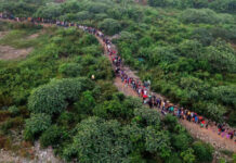 BMT: ABŞ-a yollanan 14 min miqrant geri qayıdıb miqrant