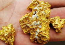 Qazaxıstanda zəngin qızıl yatağı tapılıb qızıl