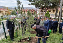 Zəfər Günü münasibətilə Gədəbəydə 1400-dən çox ağac əkilib Zəfər Günü münasibətilə Gədəbəydə 1400-dən çox ağac əkilib