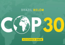 COP30 çərçivəsində Azərbaycan nümayəndə heyətinə vacib missiyalar həvalə olunub COP30