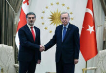 Türkiyə və Gürcüstan prezidentləri təyyarə qəzası ilə bağlı son durumu müzakirə ediblər Türkiyə Prezidenti Rəcəb Tayyib Ərdoğan Gürcüstan Prezidenti Mixeil Kavelaşvili