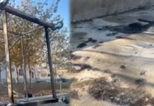 “Lake Hotel”in 4 işçisinin elektrik cərəyanı vurması nəticəsində ölməsi ilə bağlı cinayət işi açılıb "Lake Hotel"in 4 işçisinin elektrik cərəyanı vurması nəticəsində ölməsi ilə bağlı cinayət işi açılıb