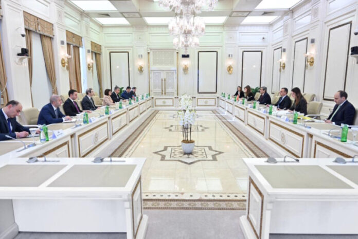 Milli Məclisin sədri Sahibə Qafarova dekabrın 20-də Monteneqro Baş nazirinin müavini, xarici işlər naziri Ervin İbrahimoviçin rəhbərlik etdiyi nümayəndə heyəti ilə görüşüb