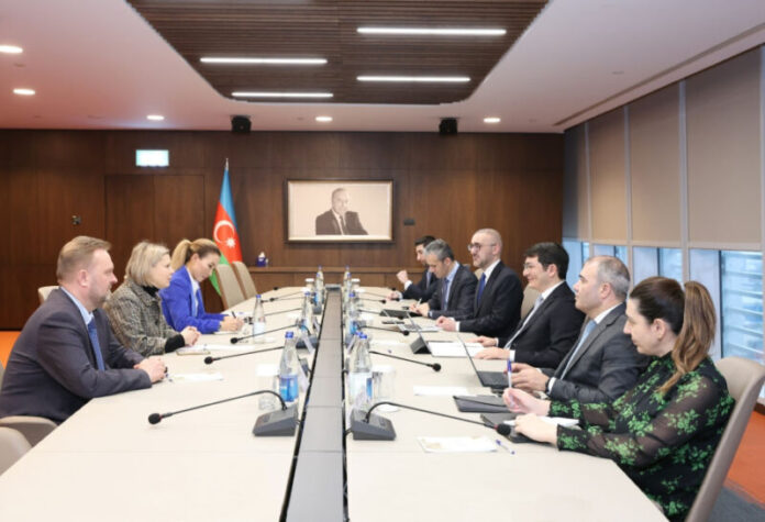 İqtisadiyyat nazirinin birinci müavini Elnur Əliyev “Microsoft” şirkətinin Mərkəzi Avropa və Mərkəzi Asiya regionu üzrə prezidenti Barbora Pauloviç Dekkerova ilə görüşüb